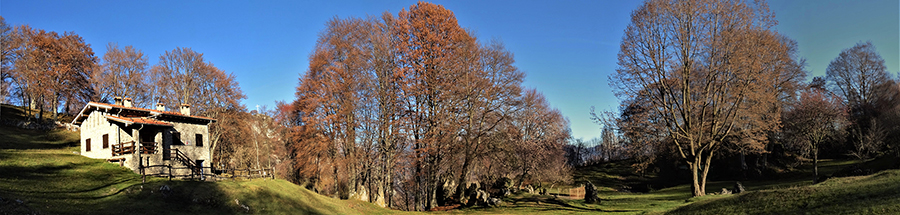 Rif. Monte Zucco (1150 m) ai 'Foppi'